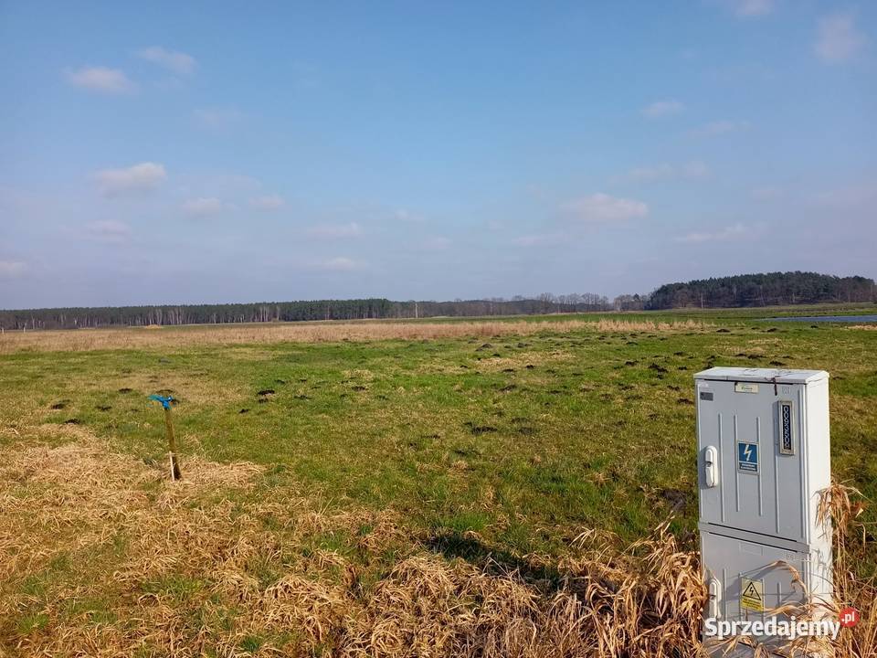 Działka 3000m2 Sprzedaż Bydgoszcz