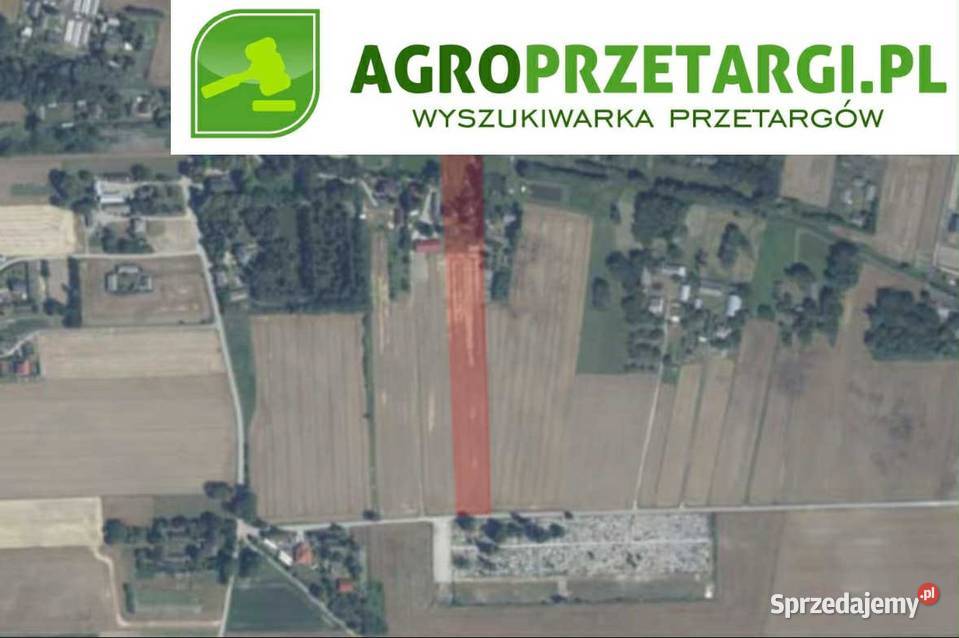 Dzierżawa 415 ha gruntu rolnego Chełm