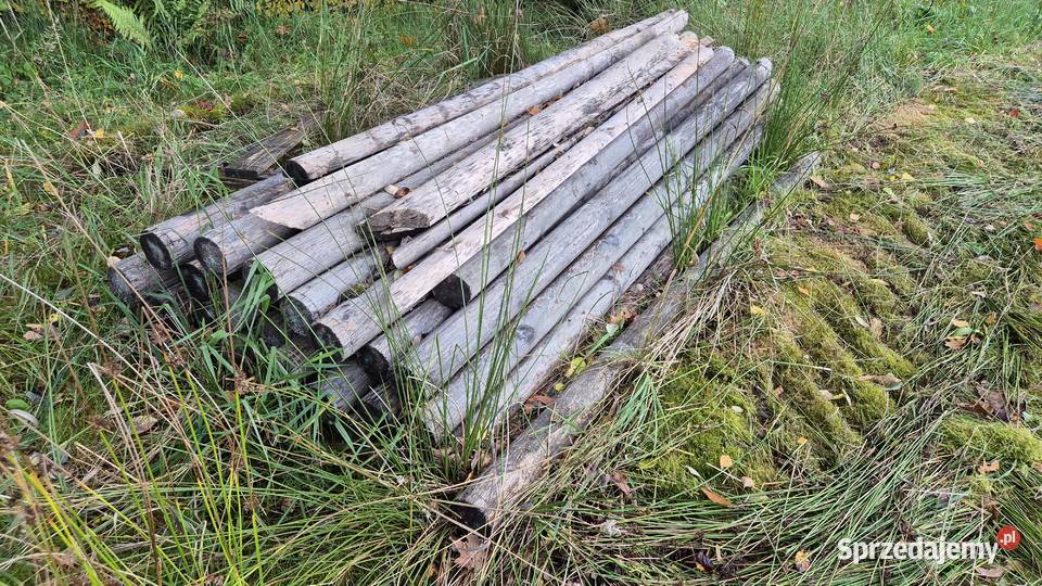 Płot leśny z bramą i furką Banino