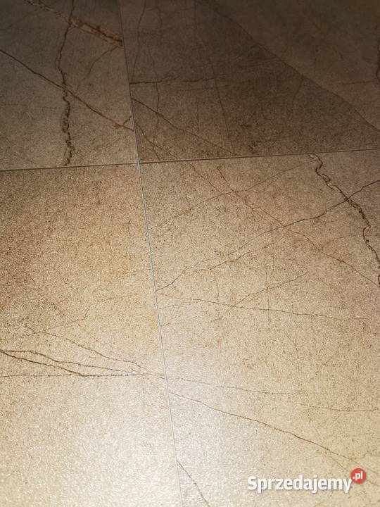 Gres szkliwiony Soria Oro 60120 Płytki uniwersalne Warszawa