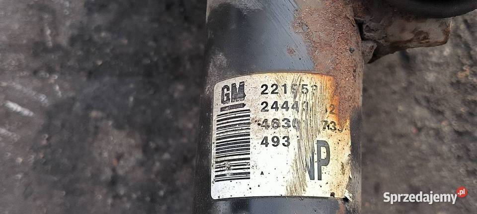 AMORTYZATOR PRAWY PRZÓD OPEL ASTRA G Lipno