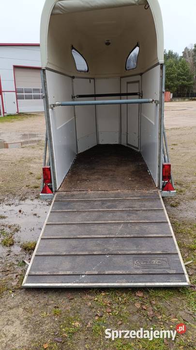 Przyczepa do przewozu koni zwierząt Atec wynajem ATC wielkopolskie