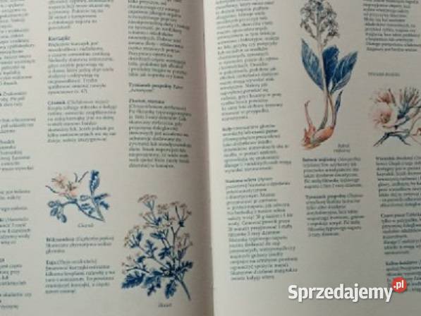 Naturalny lekarz domowy poradnik medycyna