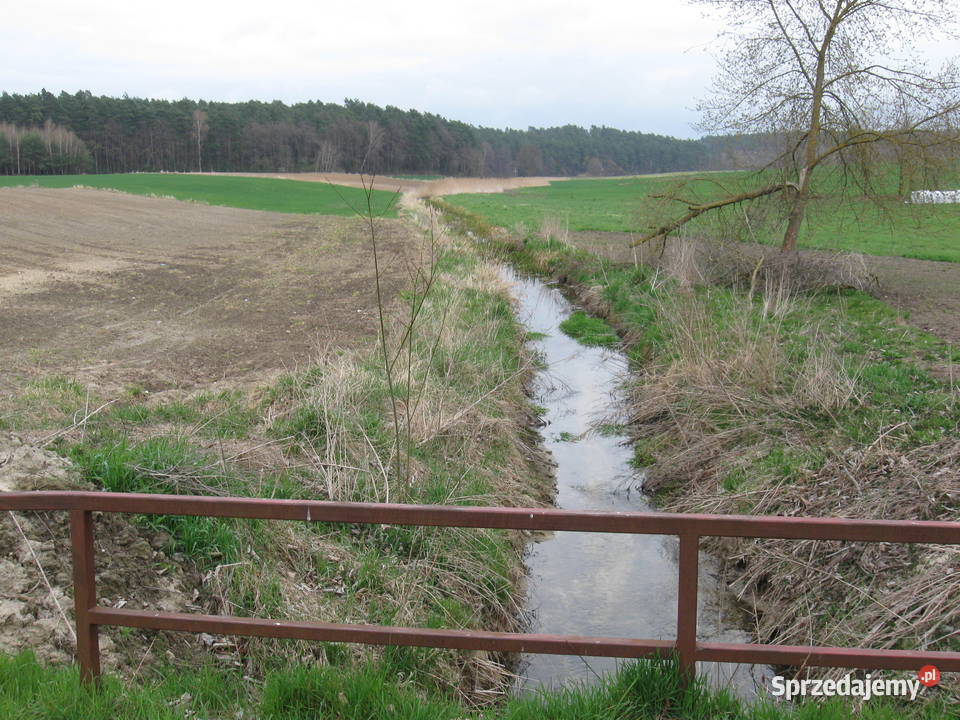 DOM ŚWIĘTOKRZYSKIE SPRZEDAM wolnostojący świętokrzyskie Węchadłów