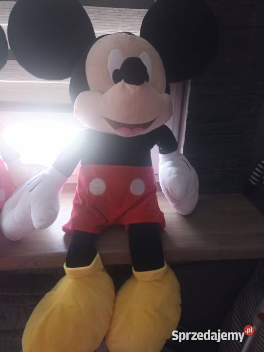 OKAZJA Maskotki lubelskie