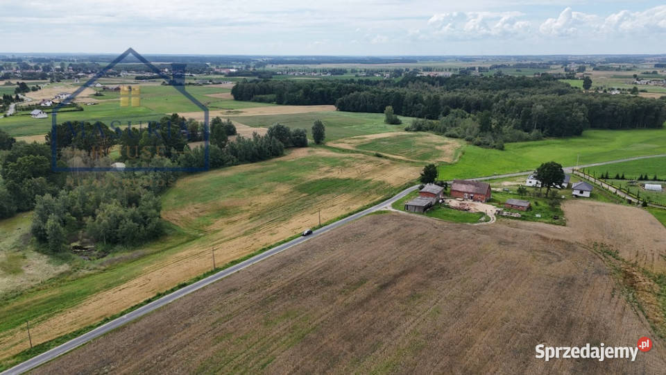 Działka rolna w Ząbrowie Ząbrowo