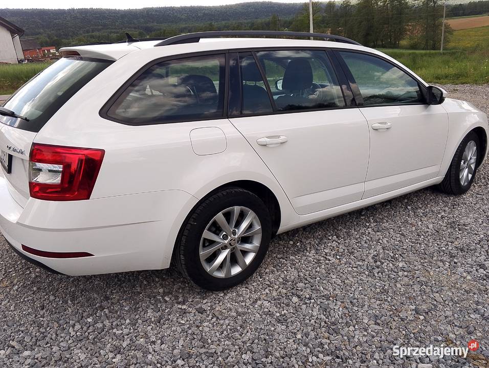 Skoda Octavia 2019 Bodzentyn