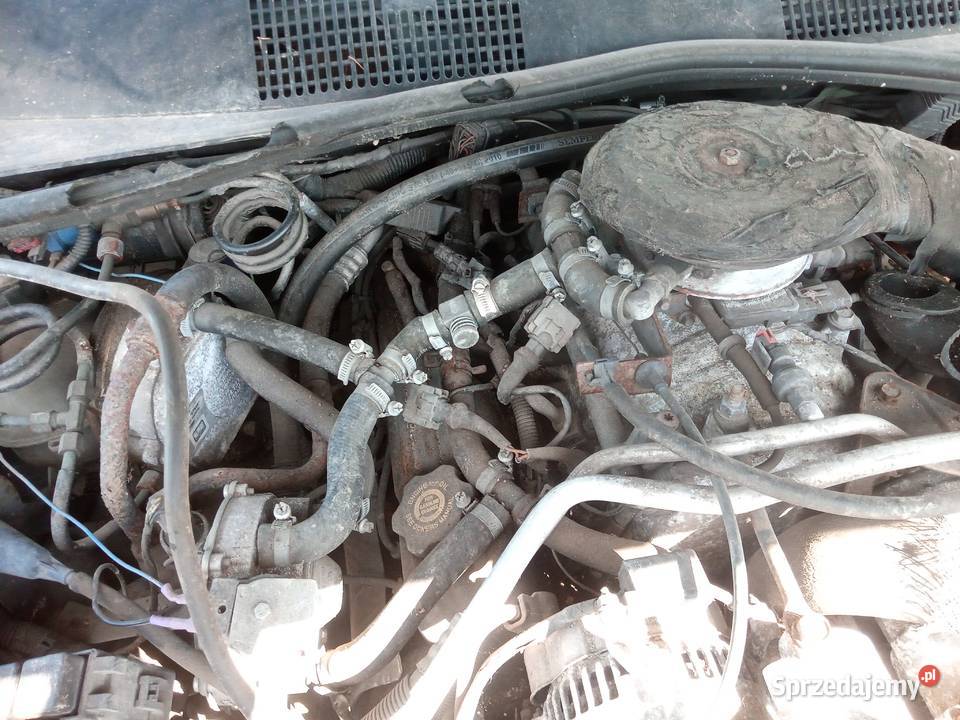 jeep grand cherokee terenowe Suchatówka