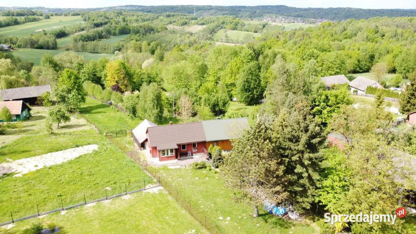 Dom bliźniak Łomna 488m2 48.8m2 Domy sprzedam