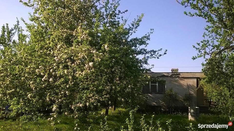 Sprzedam działkę ROD na Smochowicach w Poznaniu wielkopolskie Poznań sprzedam
