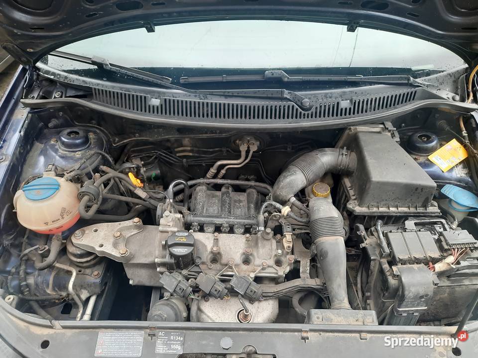 Sprzedam VWPolo z 2006r 12 benzyna 177 przebiegu Brzeszcze