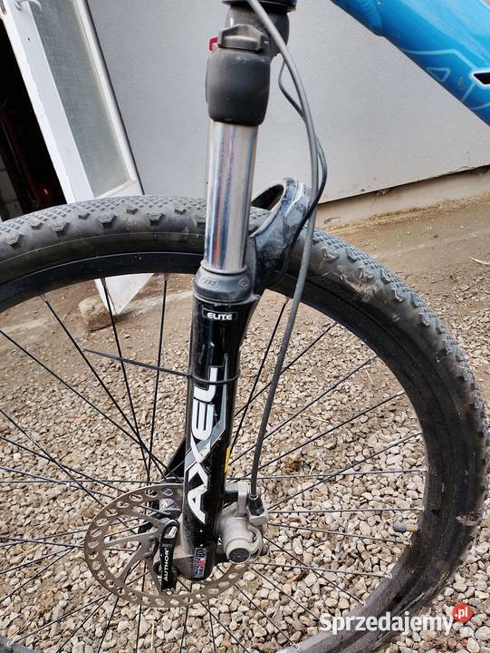 Author 19 lubelskie Lublin