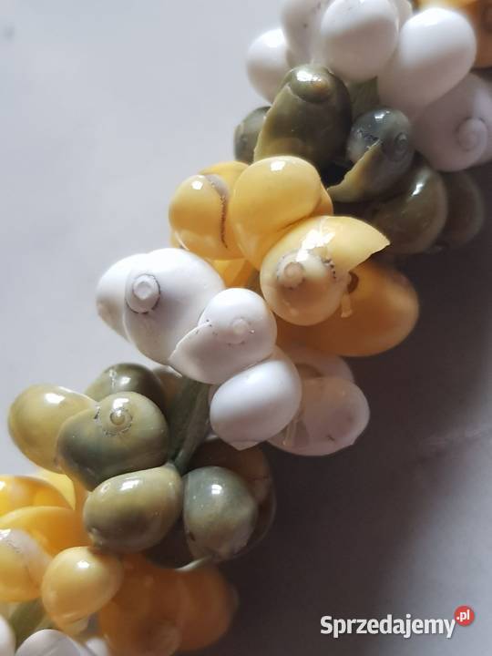 koraliki kolia muszelki wisiorek biżuteria Dla kobiet Kielce