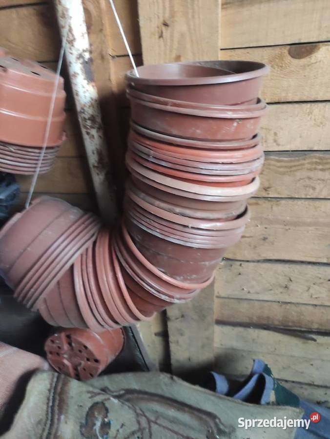 Doniczki chryzantemowe 23 Radom