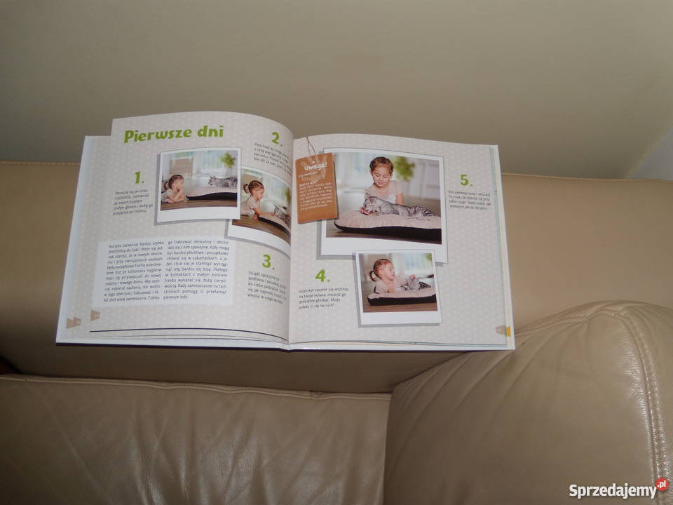 Claudia Toll Mój kotek Warszawa