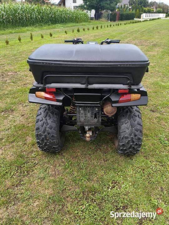 Quad Buyang 300 4x4 z homologacją czterosuwowy Pozostałe