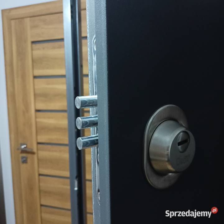 Drzwi Akustyczne 90 Prawe Kolor Antracyt śląskie Zabrze