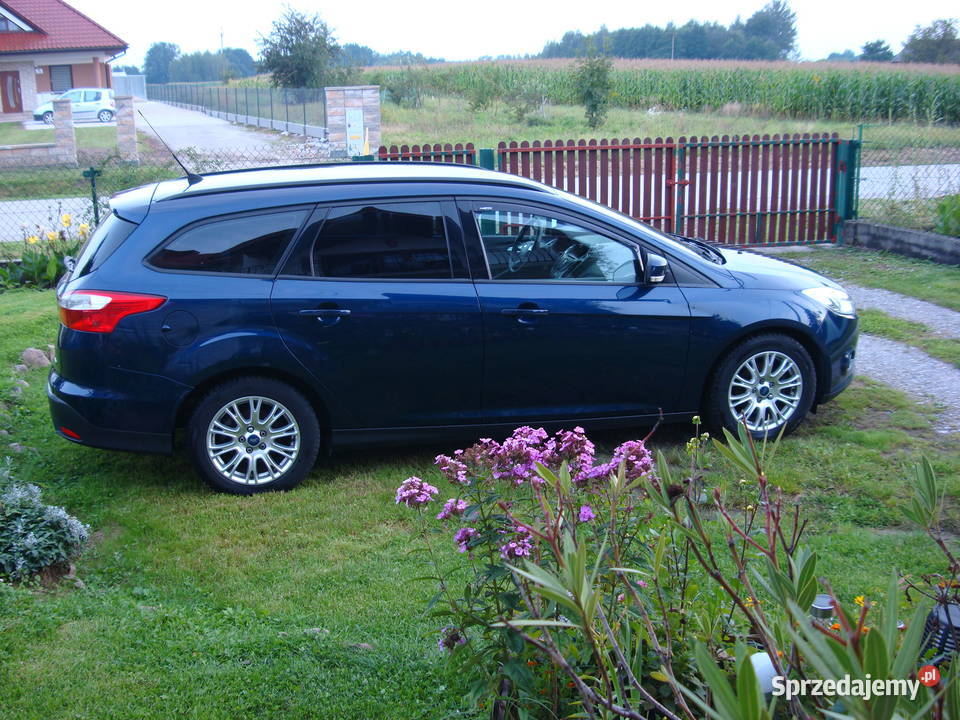 16 Tdci 115 DoinwestowanyNowe wtrysiwaczenowy diesel