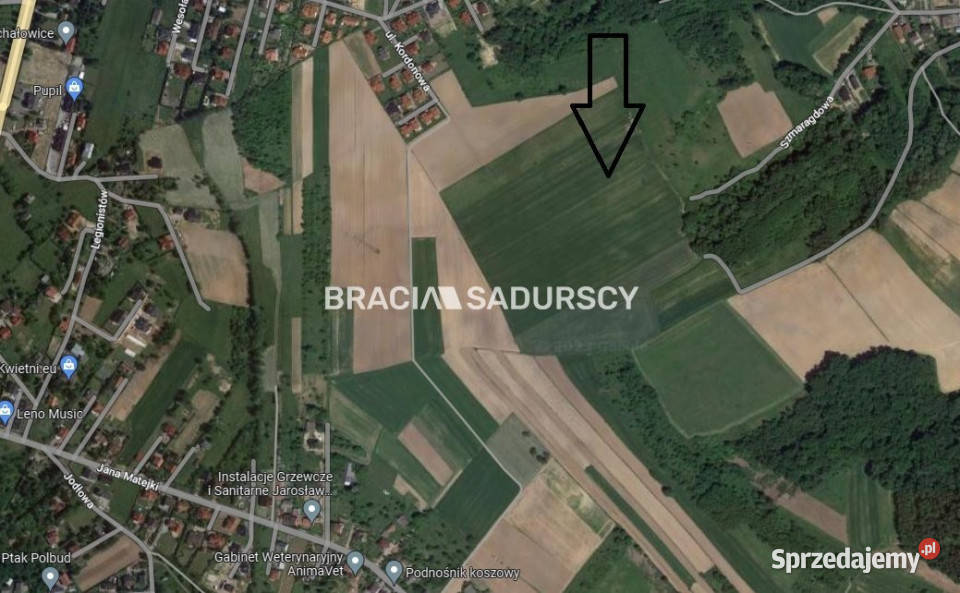 Działka 30420m2 Młodziejowice Sprzedaż