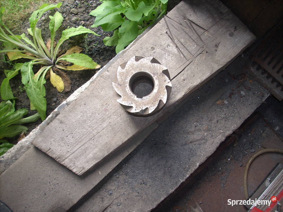 Frez stolarski Rękoraj