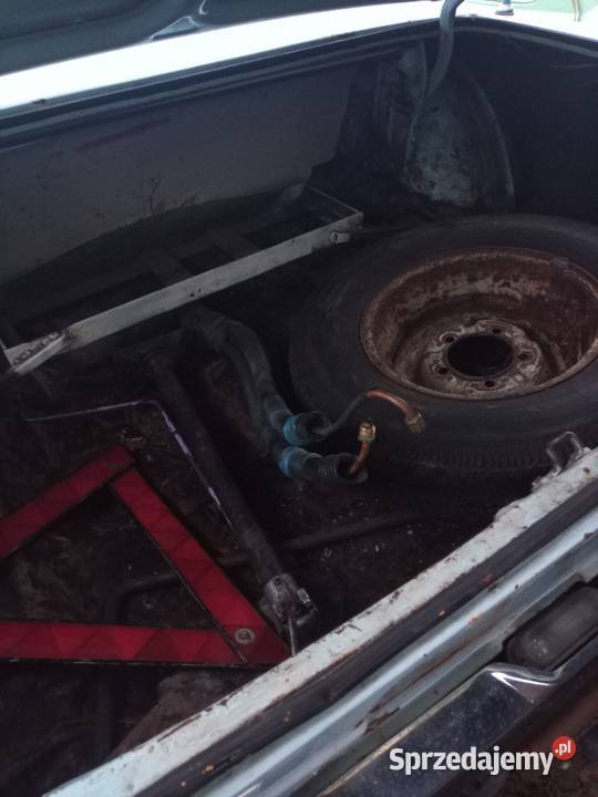 Wołga gaz 24 Mieszkowice