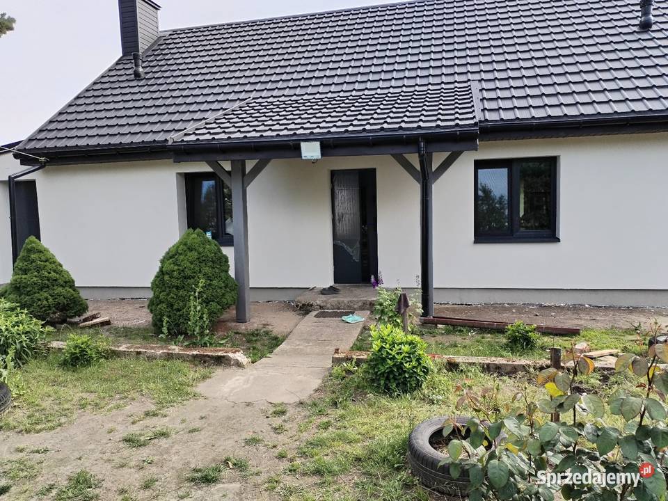 Siedlisko Dom plus4 budynki gospodarcze Sochocino-Badurki sprzedam