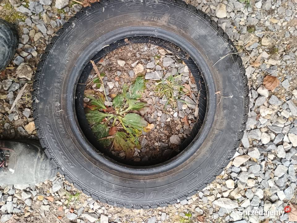 Opony zimowe Dębica Frigo 2 155 65 13 Żółkiewka-Osada