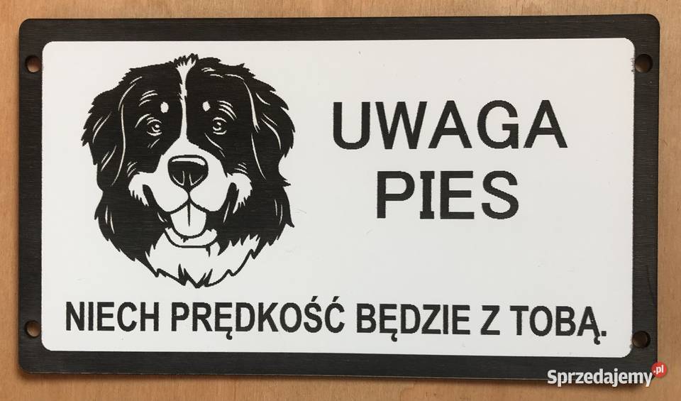 Tabliczki uwaga zły pies wszystkie rasy Amstaff