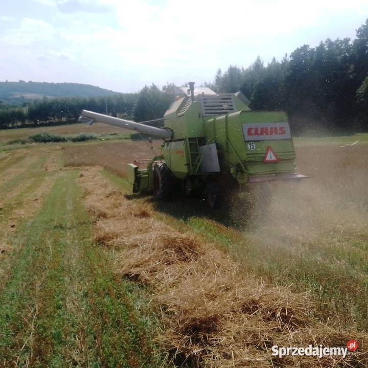 Kombajn nieuszkodzony Zbożowe Porąbka Uszewska