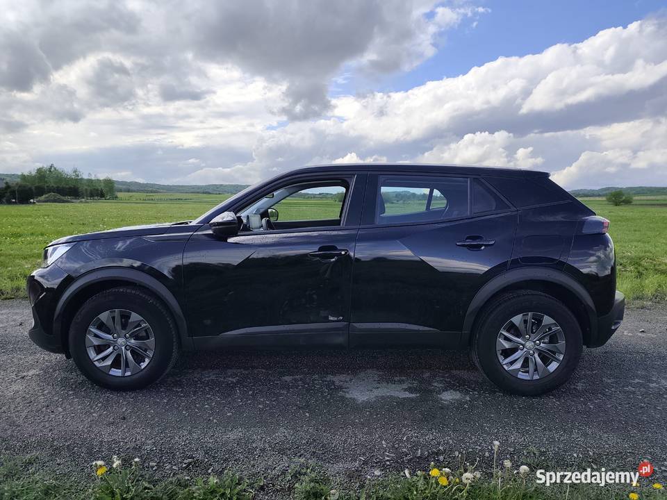 Peugeot 2008 12 L Pure Tech 2008 podkarpackie Kostarowce