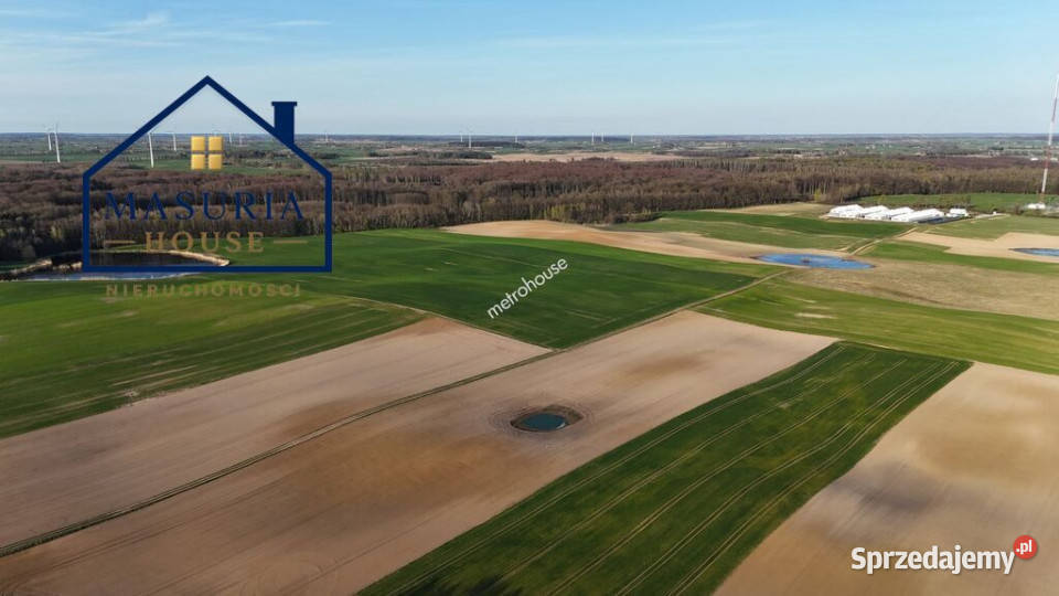 Działka rolna w Limży 1375 ha rolna Sprzedaż Limża