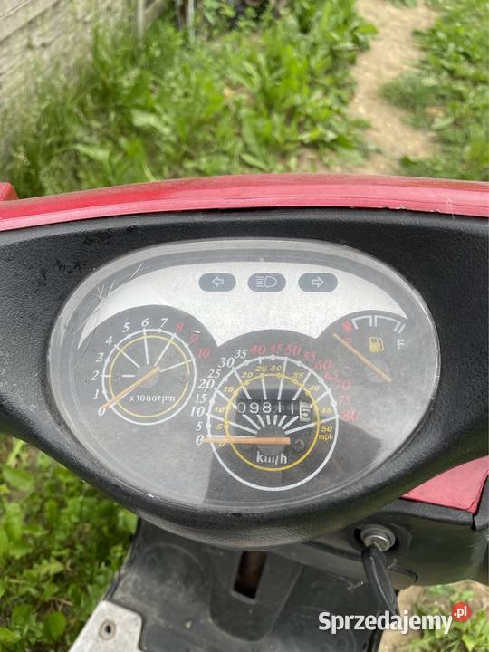 Kingway koyot 50 zarejestrowany Biskupice