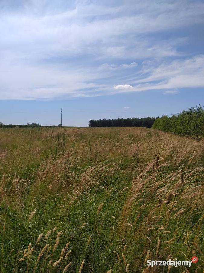 Działka Rolna z Siedliskiem Goszczyn powgrójecki Sprzedaż mazowieckie sprzedam
