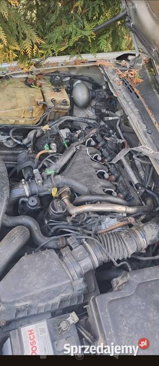 Citroen C5 20hdi części Rok produkcji 2005 Lisewo