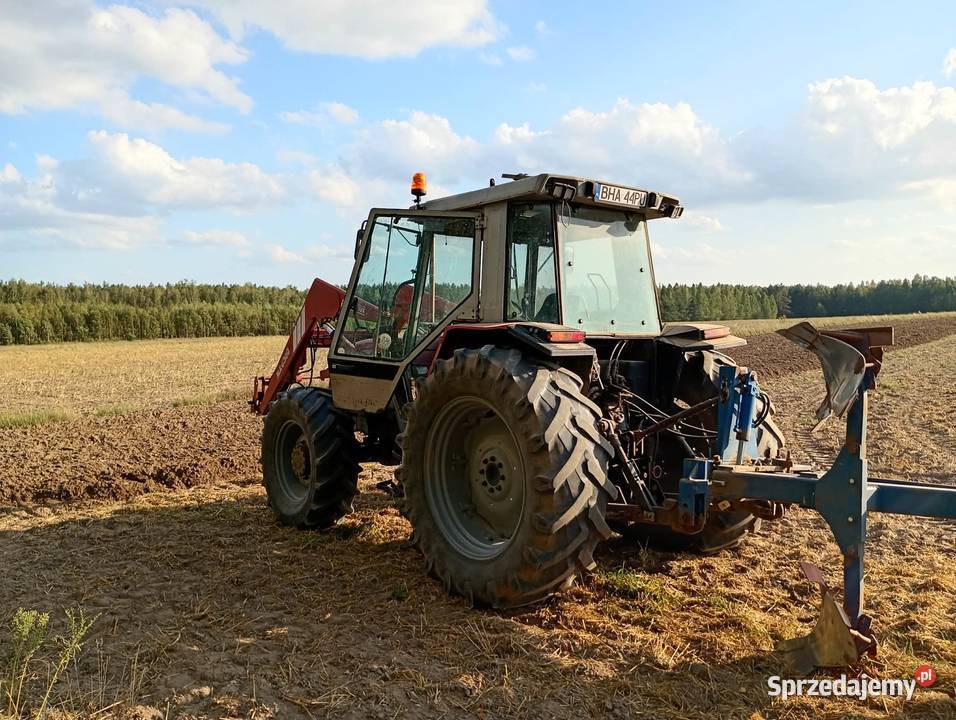 Massey Ferguson 3120 Hajnówka