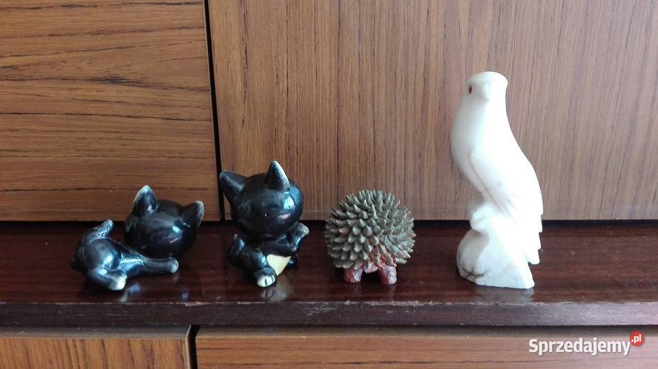 Kiciusie małe Warszawa