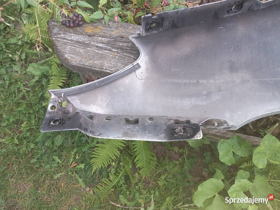 Błotniki prawy lewy do Renault Megane Scenic 19 Błotniki Sosnowiec sprzedam
