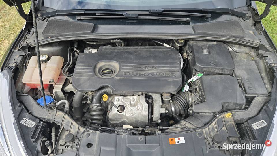 Ford Focus 15 TDCi 2015 Focus Focus Trąbki Wielkie sprzedam
