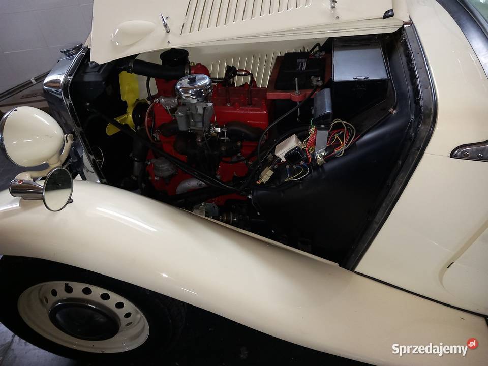 MG TD 1952 Strumień sprzedam