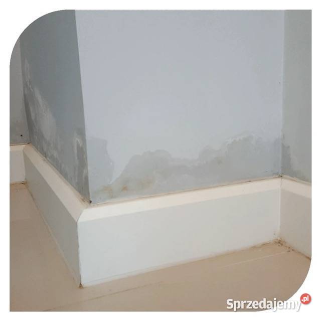 Iniekcje krystaliczne podciąganie kapilarne całe Gdańsk