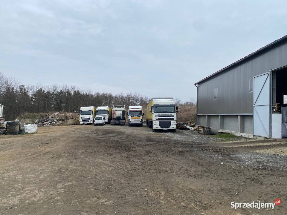 Syndyk sprzeda ciągniki siodłowe marki DAF 1159129km