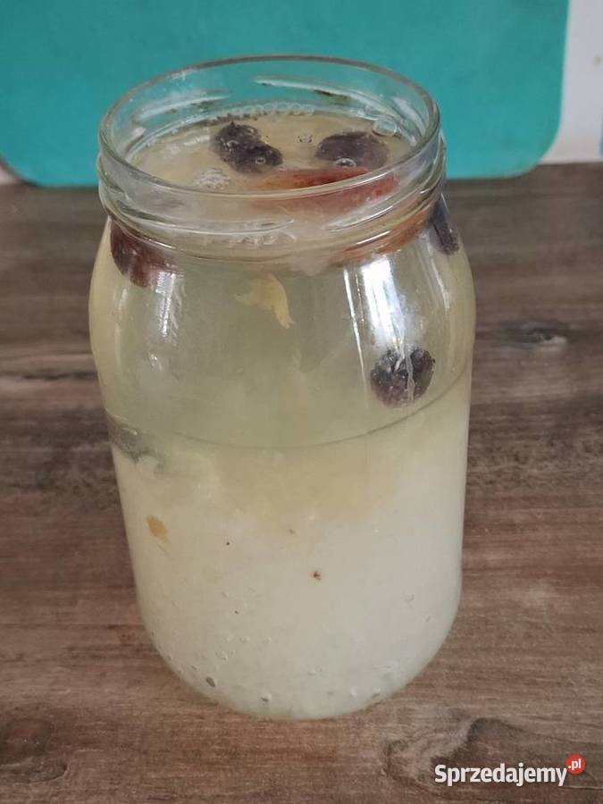 Algi japońskie kefir wodny 30 g