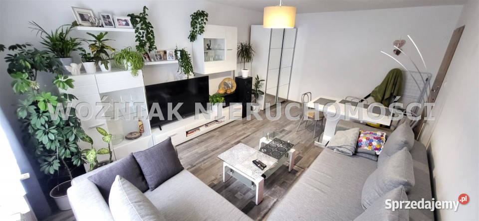 Mieszkanie JedlinaZdrój 6347m2 3 pok Jedlina-Zdrój