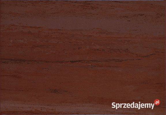 Sakura brąz o wymiarze 25 x 36 z firmy Tubądzin Bielkowo