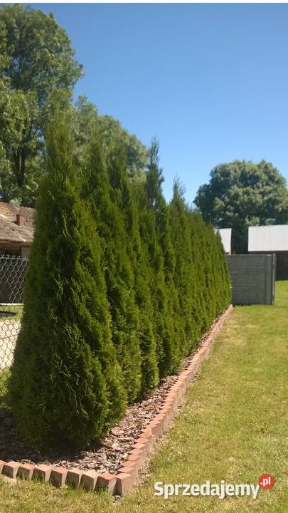 Środki ceglane ceramiczne gruz na paletach Kraśnik sprzedam