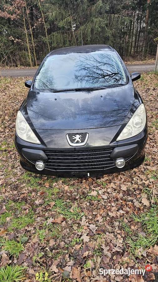 Peugeot 307 14 16v wielkopolskie Sątopy
