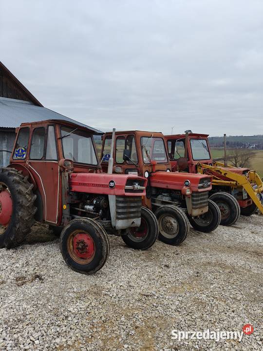 Massey Ferguson Special 8VX 135 z ładowaczem Kijany sprzedam