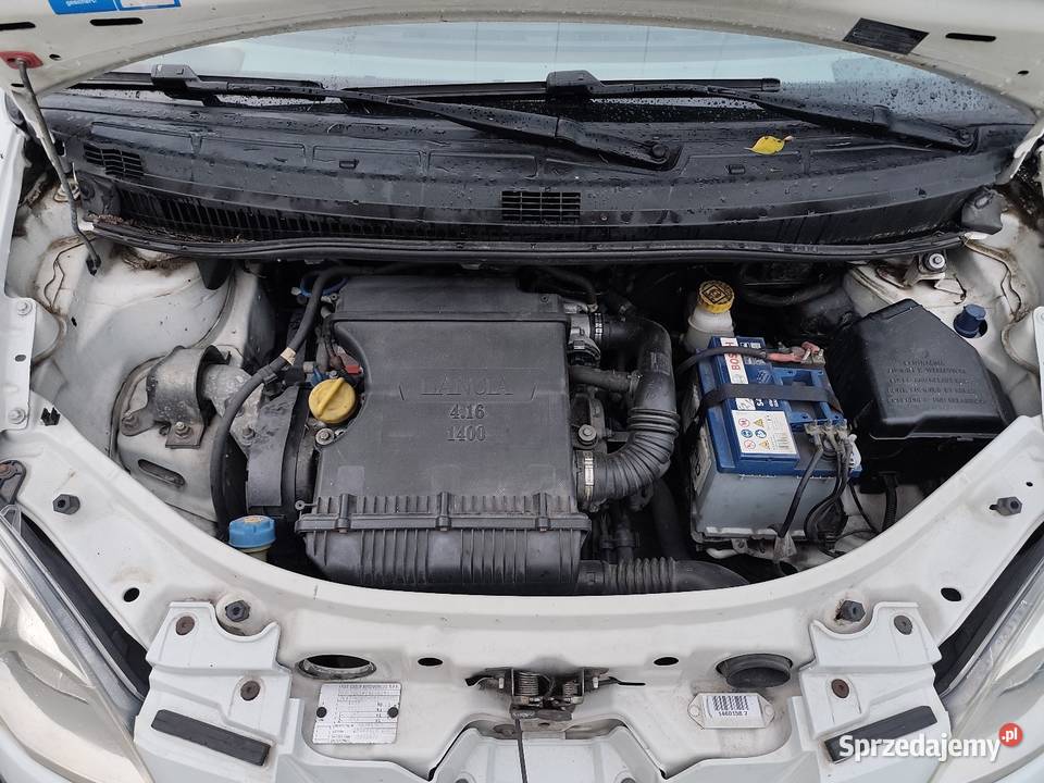 Lancia Musa Fiat Idea 14 16V 95 nieuszkodzony Głowienka