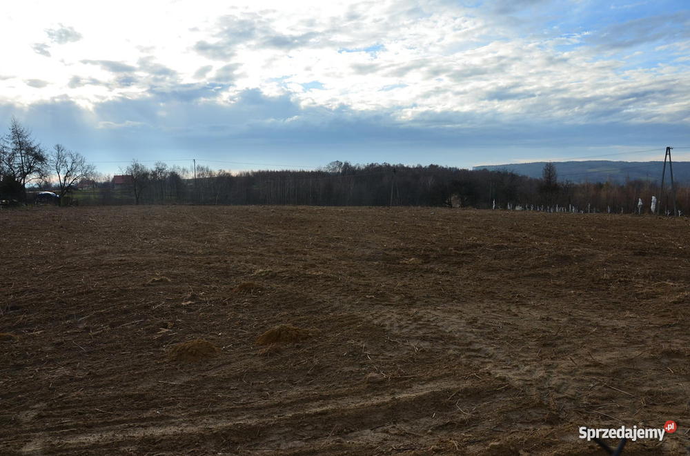 Poręba Radlna budowlanorolna 47 arów uzbrojona kanalizacja Poręba Radlna