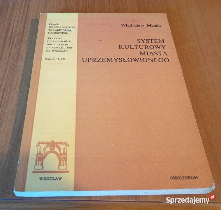 System kulturowy miasta uprzemysłowionego